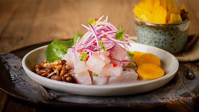 Chef plating gourmet ceviche