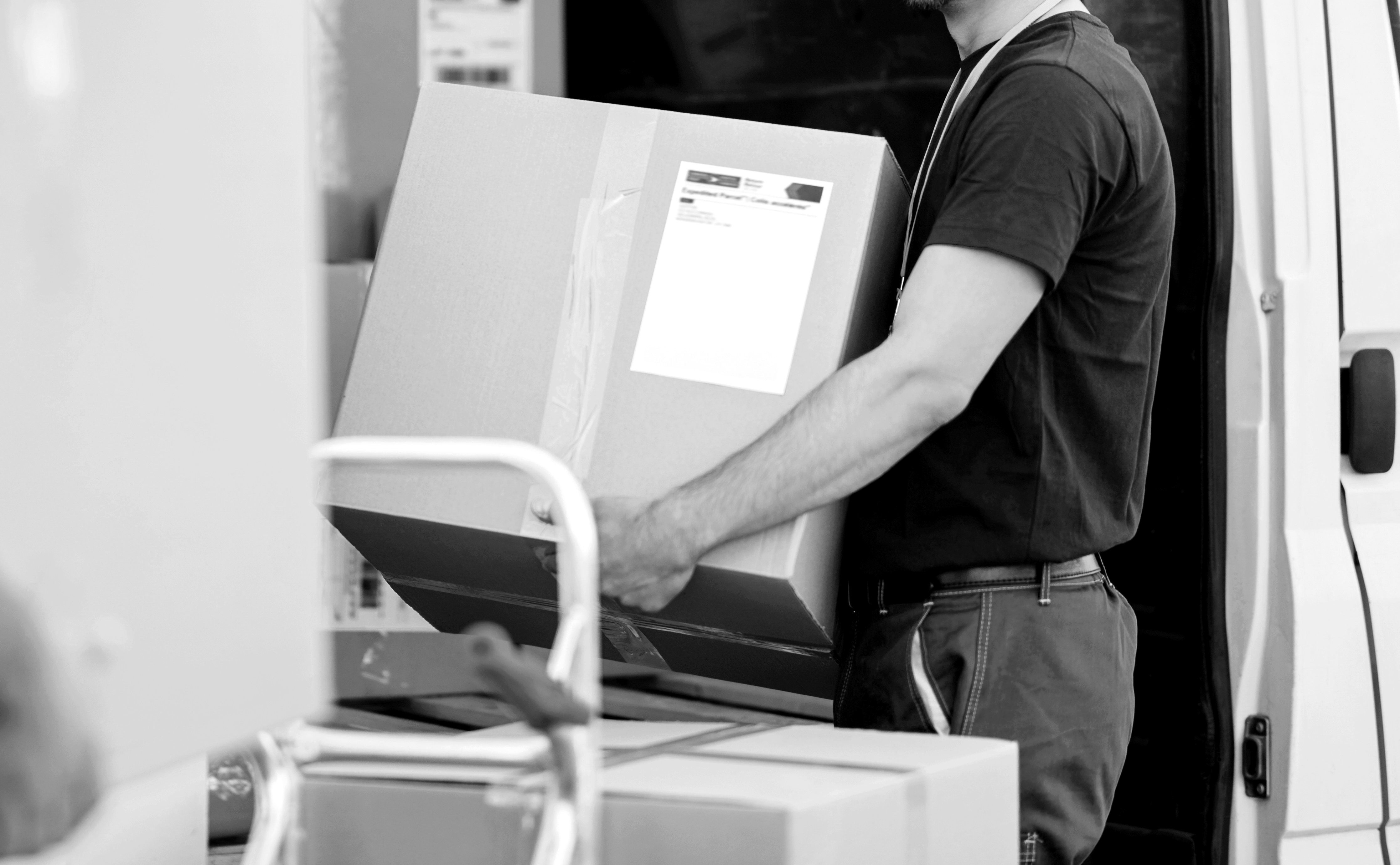 Servicio Courier